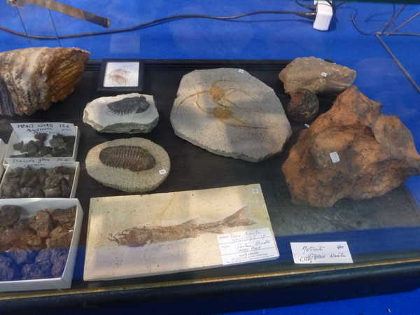 2010/meteorites/P1020146.JPG