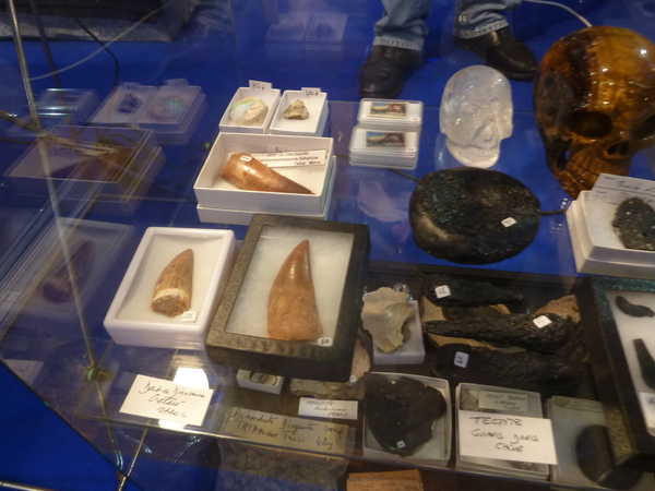 2010/meteorites/P1020147.JPG