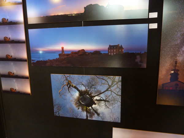 2012/laveder/P1090646.JPG