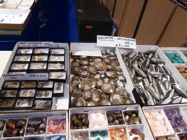 2012/meteorites/P1090716.JPG