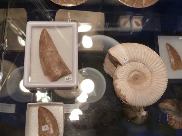2012/meteorites/P1090722.JPG