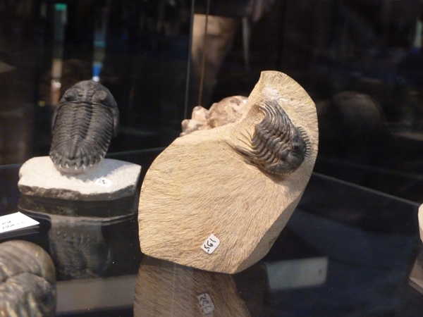 2012/meteorites/P1090723.JPG
