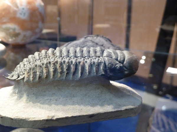 2012/meteorites/P1090725.JPG