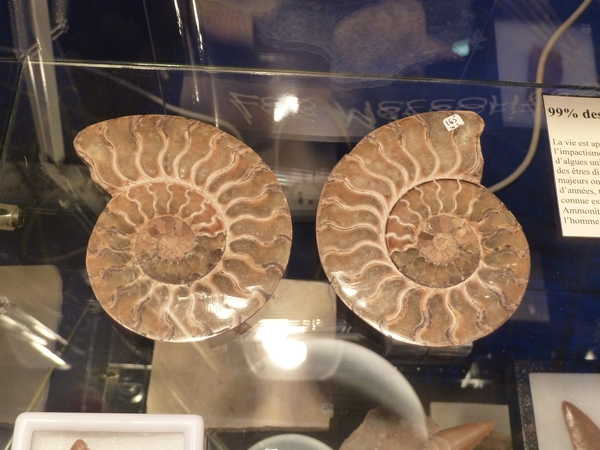 2012/meteorites/P1090727.JPG