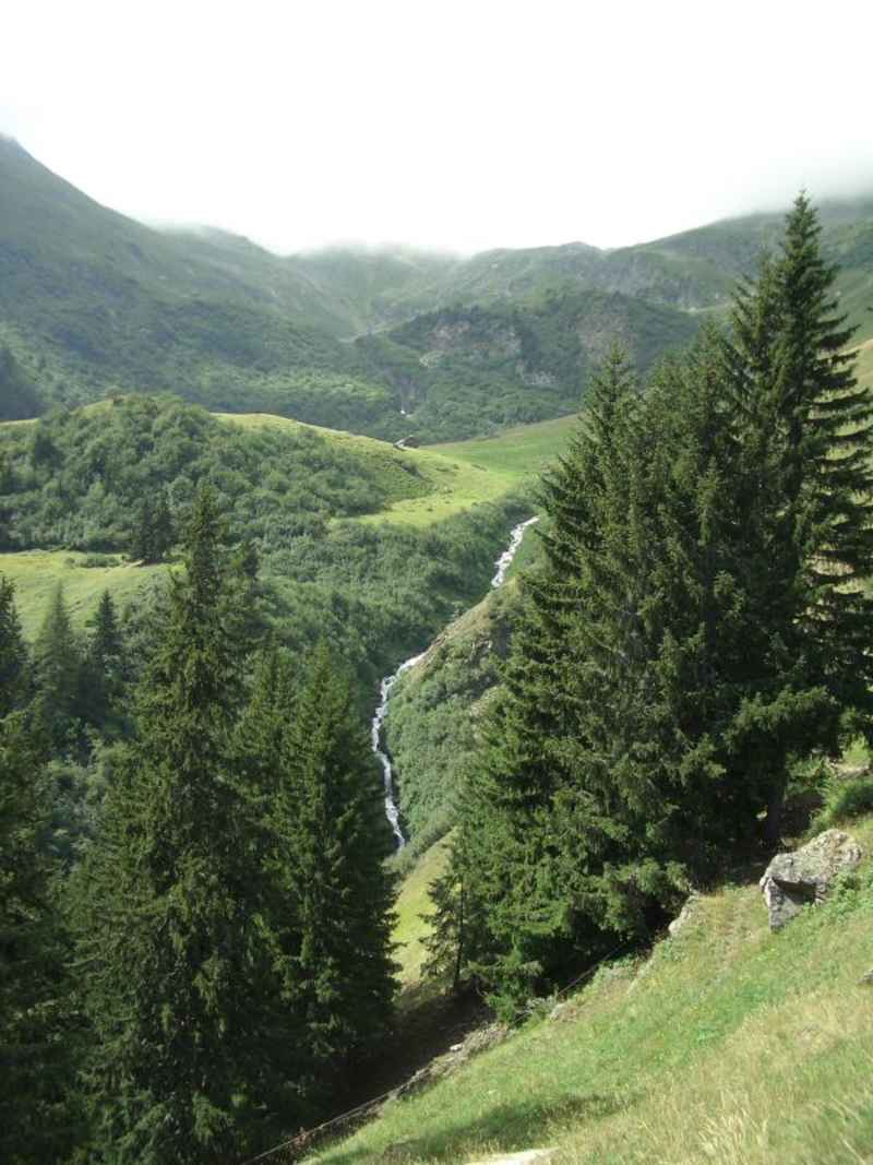 Un site et une vue de choix pour un pique-nique ! arcs/villaroger/photos/villaroger_mont_turia_01.jpg