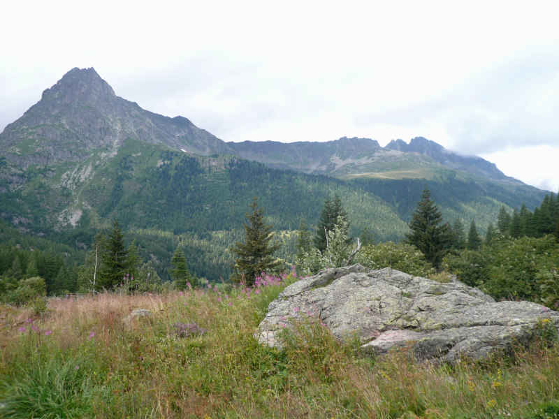 chamonix/argentiere/photos/reserve_aiguilles_rouges_02.jpg
