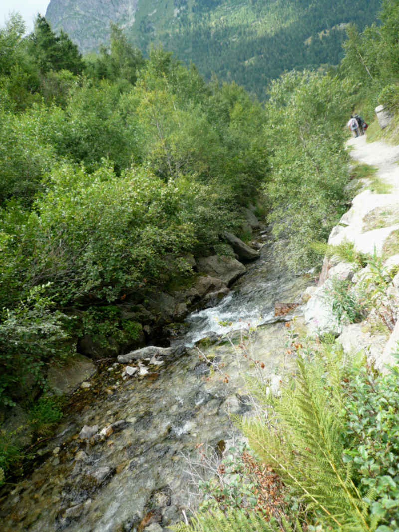 chamonix/argentiere/photos/reserve_aiguilles_rouges_04.jpg