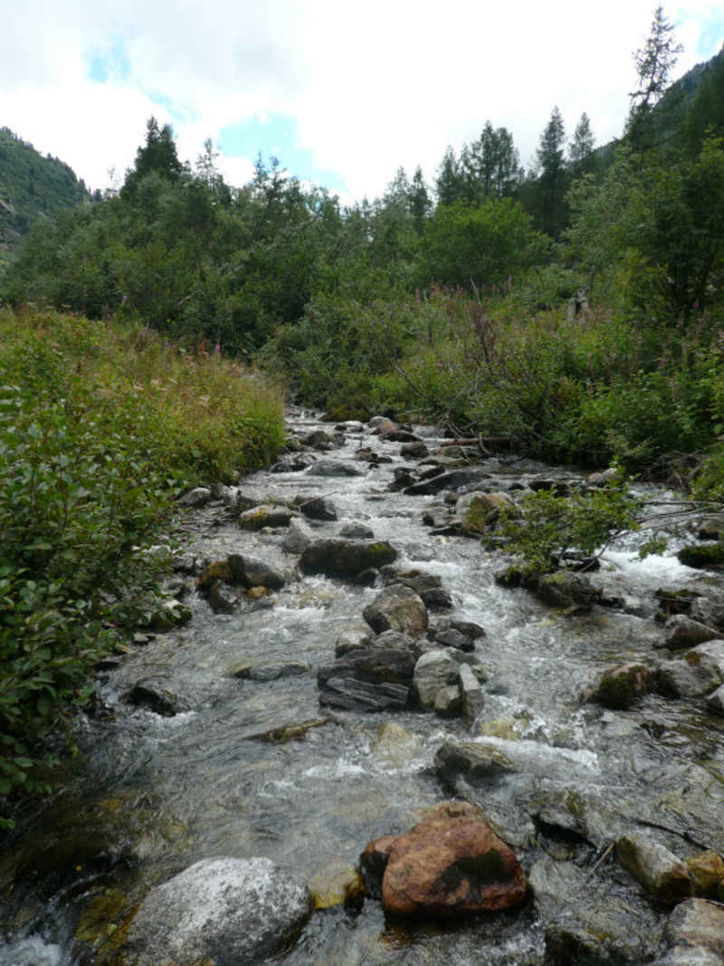 chamonix/argentiere/photos/reserve_aiguilles_rouges_05.jpg