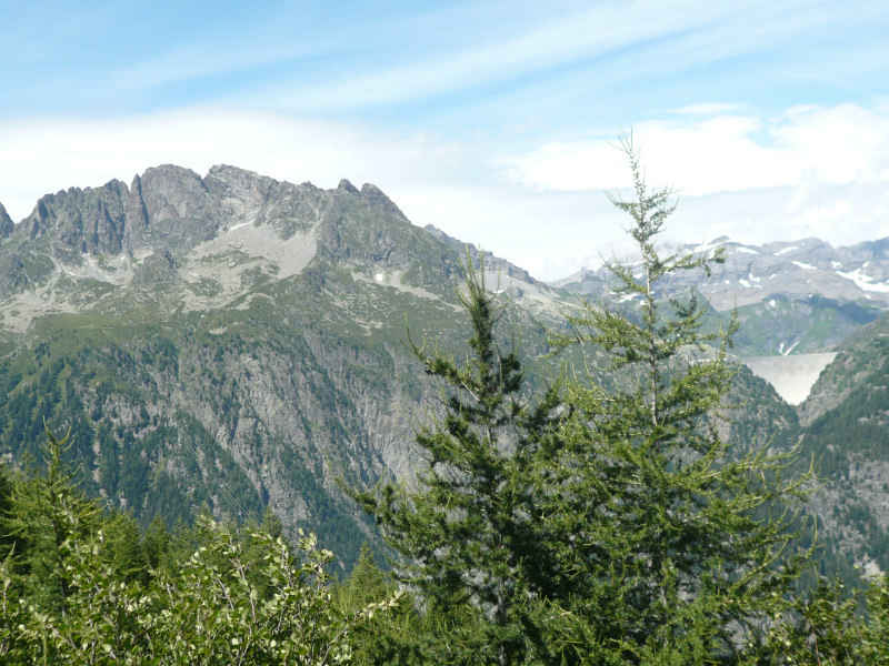 chamonix/suisse/photos/vallorcine_02.jpg