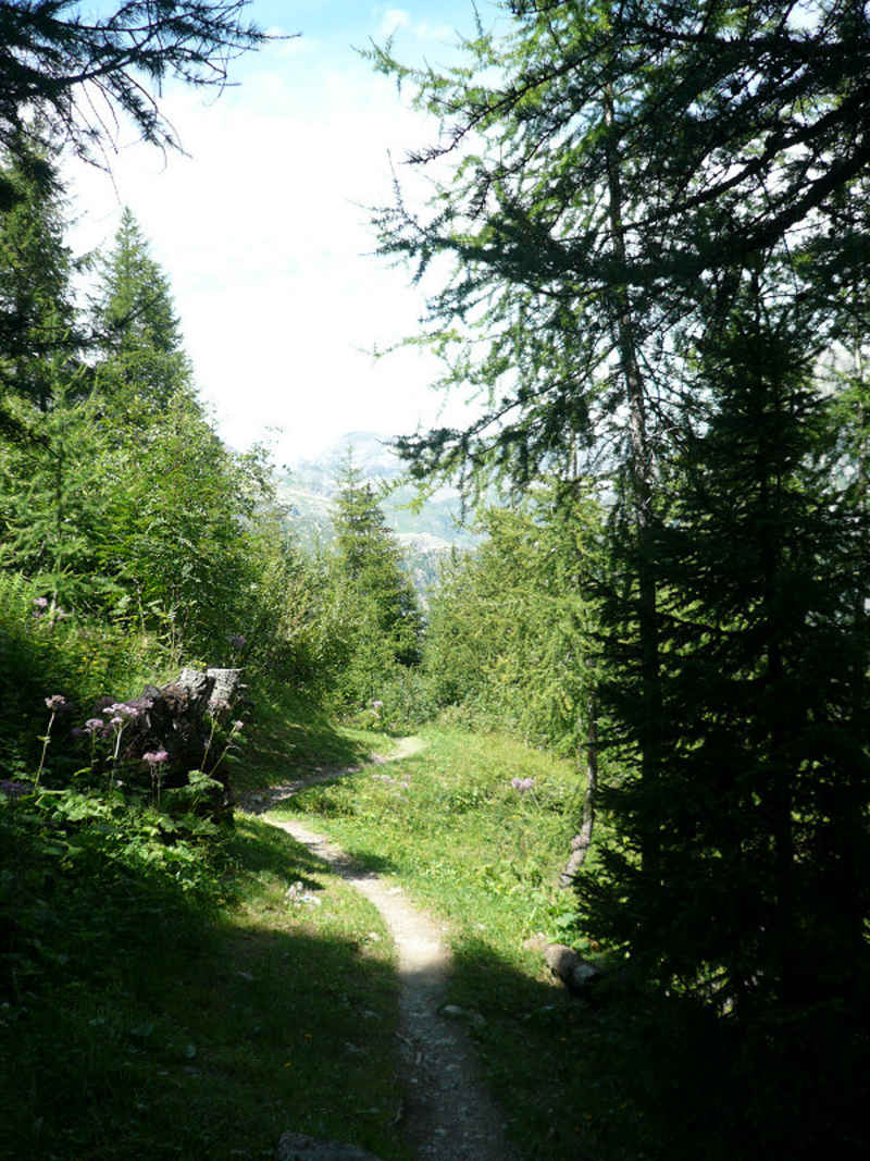Redescente vers Vallorcine chamonix/suisse/photos/vallorcine_03.jpg