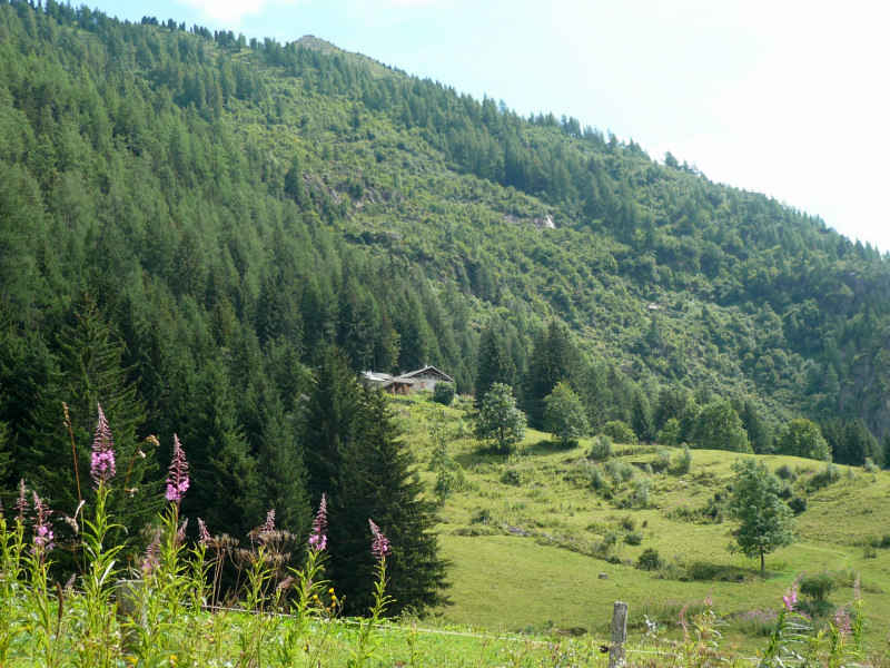 chamonix/suisse/photos/vallorcine_05.jpg