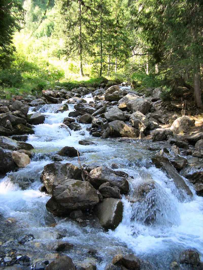Torrent contamines/contamines/photos/contamines_riviere_07.jpg