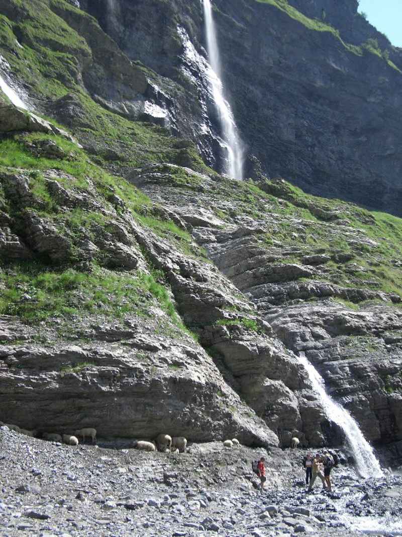 Les moutons cherchent l'ombre, les randonneurs cherchent un passage... contamines/fer_cheval/photos/fer_cheval_cascade_05.jpg