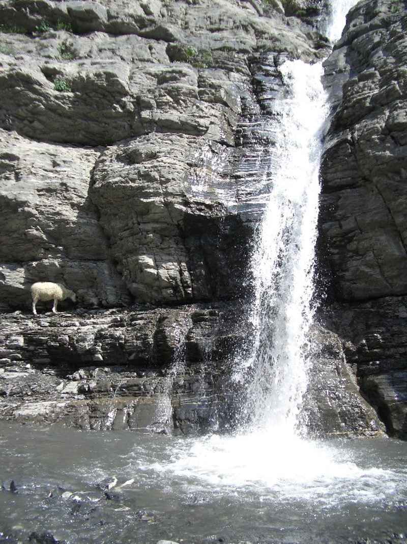 Les moutons cherchent l'ombre et la fraîcheur des cascades... contamines/fer_cheval/photos/fer_cheval_cascade_06.jpg