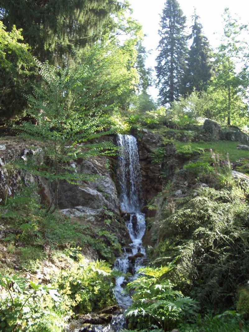 Cascade dans le jardin botanique de la Jaÿsinia contamines/fer_cheval/photos/samoens_jardin_cascade.jpg