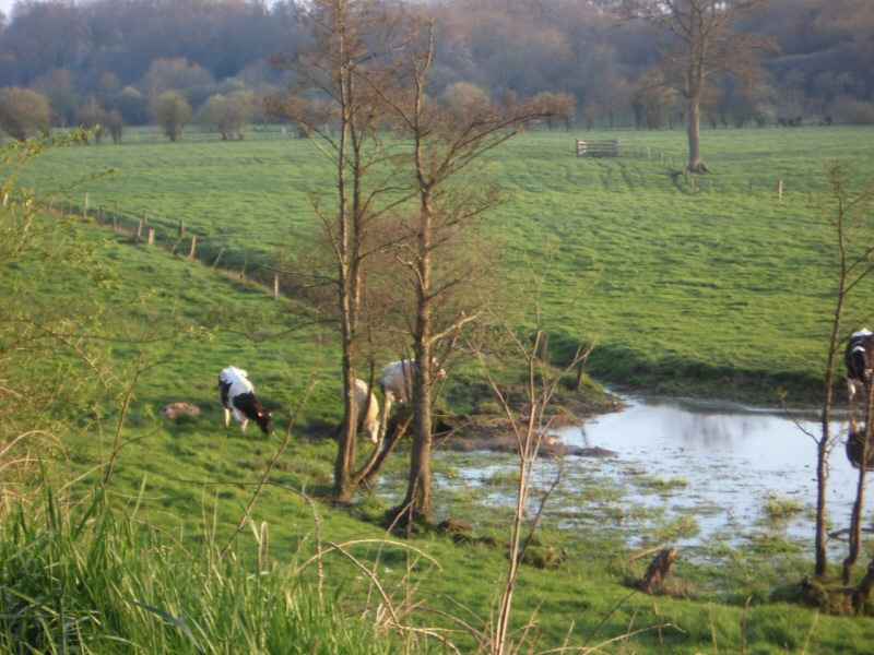 Le bocage normand normandie/manche/photos/normandie_bocage_02.jpg