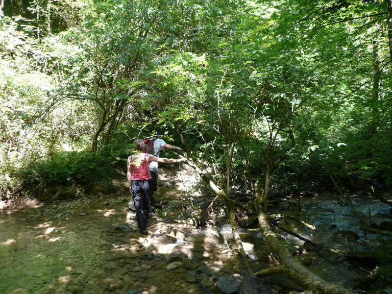 st_lary/baronnies/photos/bois_04.jpg