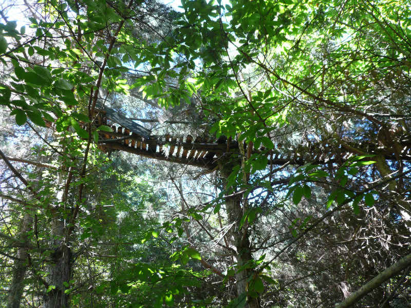 Une palombière... st_lary/baronnies/photos/palombiere_01.jpg
