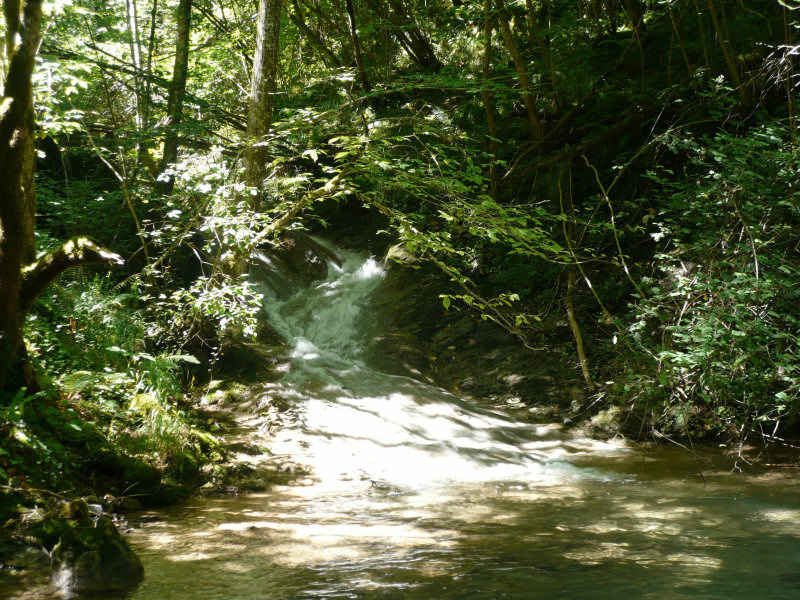 st_lary/baronnies/photos/torrent.jpg