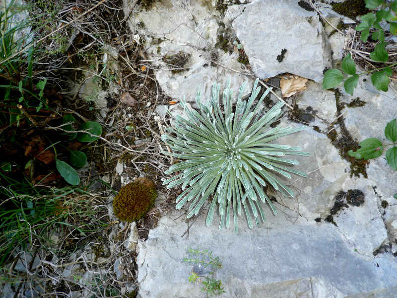 st_lary/espagne/photos/anisclo_21.jpg
