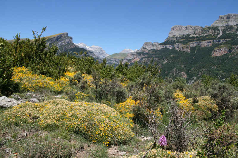 st_lary/espagne/photos/espagne_03.jpg