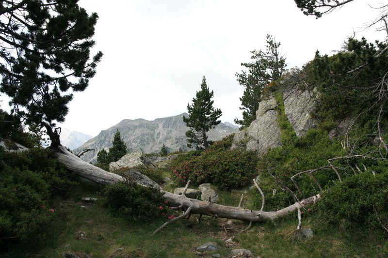 st_lary/neouvielle/photos/neouvielle_09.jpg