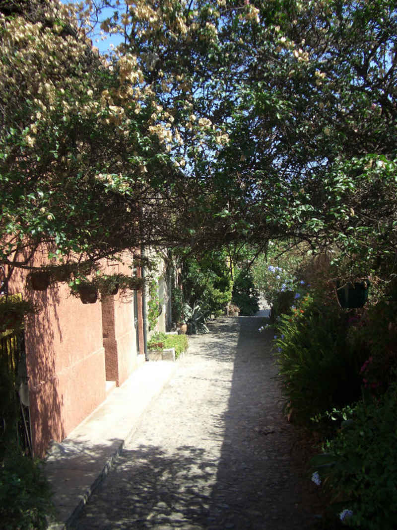 Des ruelles colorées... stcyprien/collioure/photos/collioure_11.jpg