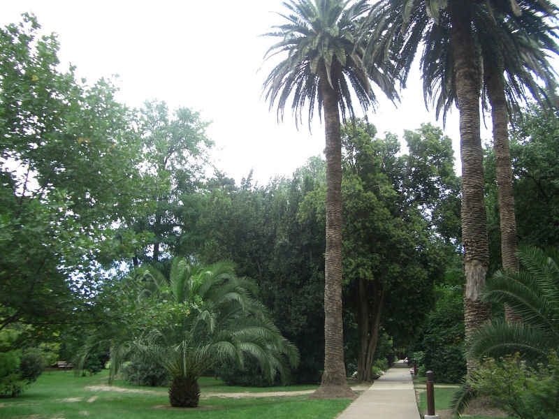 La palmeraie stcyprien/st_cyprien/photos/jardin_plantes_02.jpg