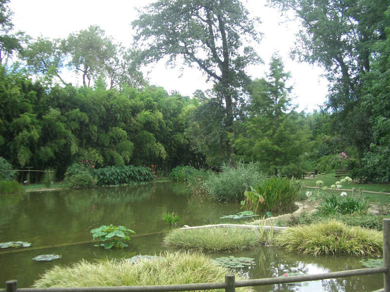 Le lac stcyprien/st_cyprien/photos/jardin_plantes_06.jpg