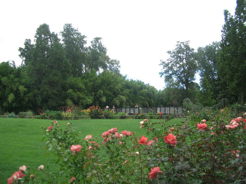 La roseraie stcyprien/st_cyprien/photos/jardin_plantes_07.jpg